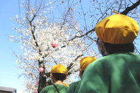 先輩たちに聞いた働く魅力画像(2)