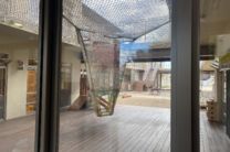 認定こども園 ふたば幼稚園