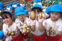 若葉幼稚園