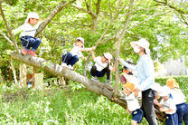 しらほ原保育園