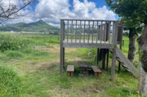 こども園 ほしのこ