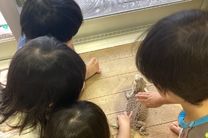 浜川こども園