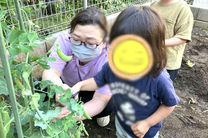 にじのいるか保育園杉並松の木