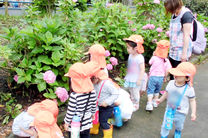 ししのこ保育園 市川