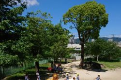 あじさい保育園