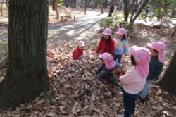 共同保育所 コロちゃんの家