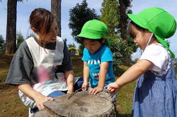 幼稚園型認定こども園　第三あおい幼稚園