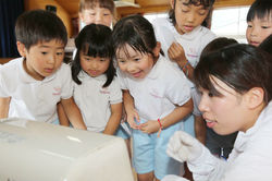 認定こども園 向丘幼稚園