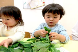 ほっぺるランド西葛西