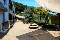 ハートの森保育園