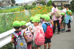 東橋本ひまわりこども園