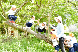 しらほ原保育園