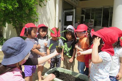 認定こども園栄冠幼稚園