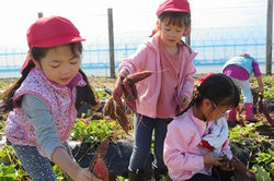 認定こども園栄冠幼稚園