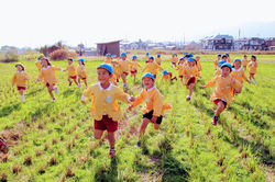 第二本福寺こども園