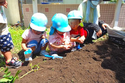 くずは光の子保育園