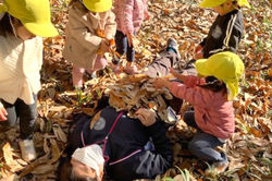 幼保連携型認定こども園 彩つばさこども園