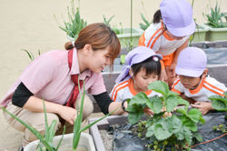 みなみせんりおか遊育園