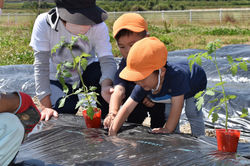 認定こども園前原中央保育園