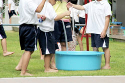 青葉はるまち保育園