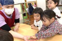 にじのいるか保育園杉並松の木