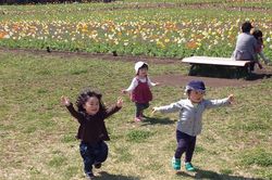 保育園アルペジオ昭島昭和町園(東京都昭島市)