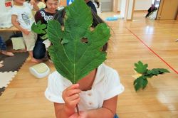 向原こばと園