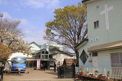 白百合園(埼玉県朝霞市)