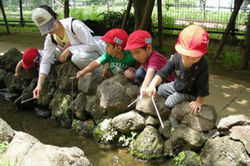 ヤクルト経堂保育園