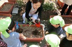 SOMPOスマイルキッズ江戸川橋保育園