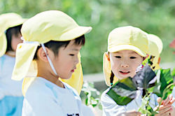 やまのみ池袋保育園