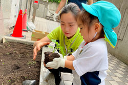 International Montessori Mirai Kindergaten（インターナショナルモンテッソーリミライキンダーガーテン）