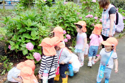 ししのこ保育園 市川