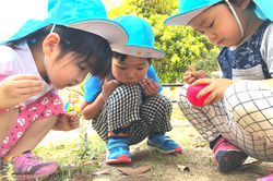 ほくほく保育園　南加瀬園