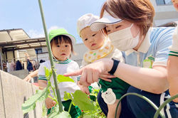 認定こども園 めばえ幼稚舎