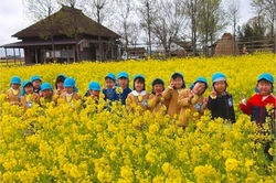 小鳥の森こども園