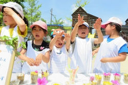 くすのき幼稚園