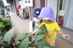 はなさき保育園 練馬春日町第二