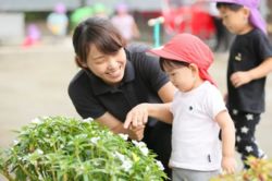 港北コスモス保育園