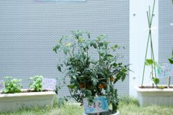 医療法人社団幸紀会安江病院かるも保育園