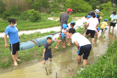 雪谷保育園の求人画像