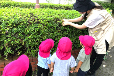 ten kids玉川台園の求人画像