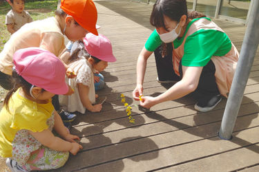成育しせい保育園の求人画像