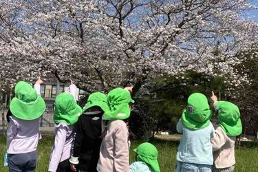 幼保連携型認定こども園枦谷つぐみ保育園の求人画像