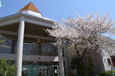 認定こども園　アンビーの求人画像