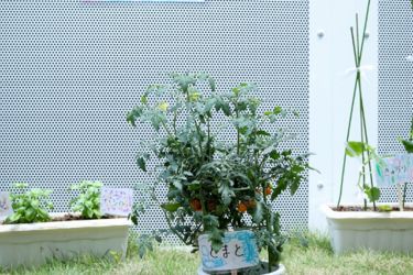 松江市立病院 院内保育所たわやまっこの求人画像