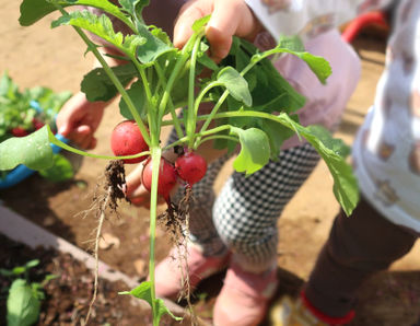 植草学園　このはの家(千葉県千葉市中央区)の様子