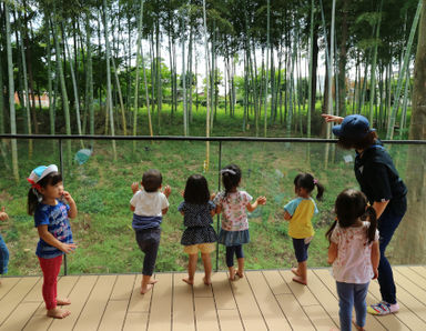 まつがさきの森幼稚園(千葉県柏市)先輩からの一言