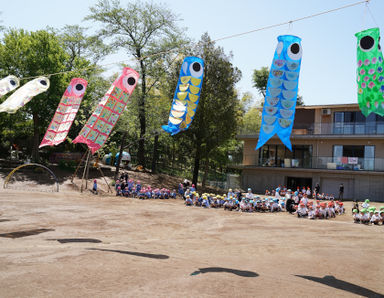 まつがさきの森幼稚園(千葉県柏市)の様子