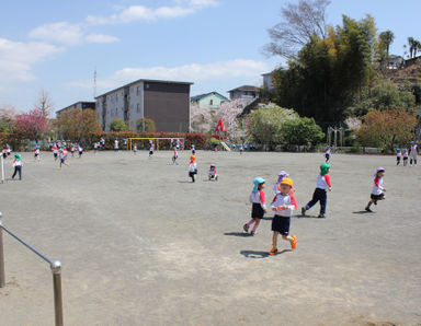 みほ幼稚園(神奈川県横浜市緑区)の様子